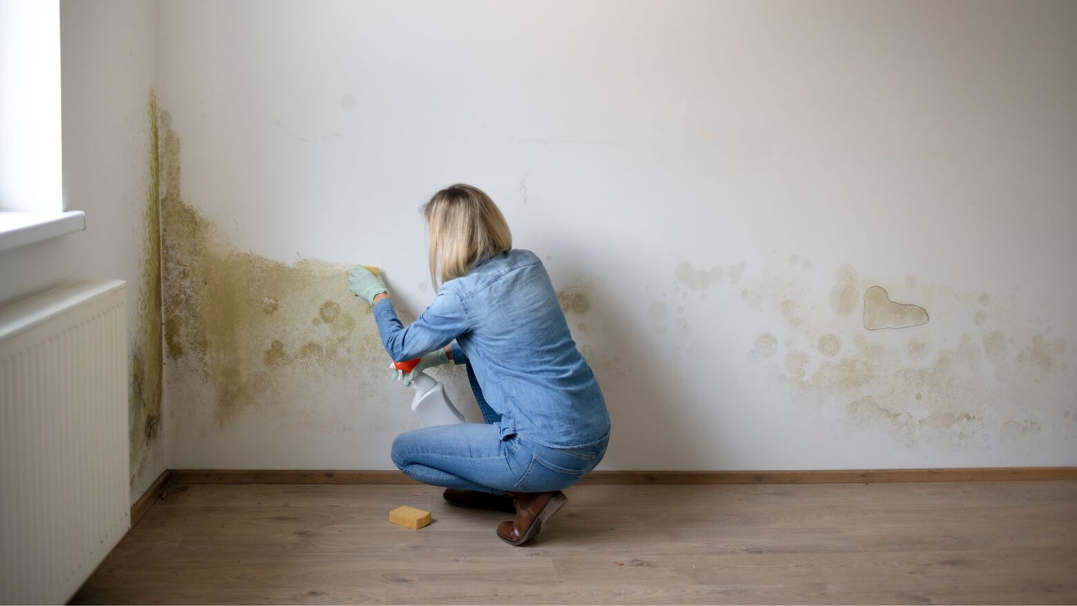 Penetrating Damp vs Rising Damp