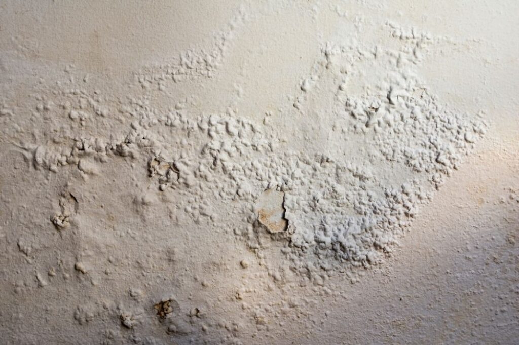 penetrating damp birmingham