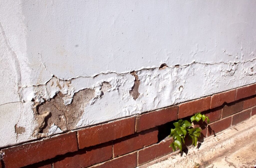 rising damp in birmingham