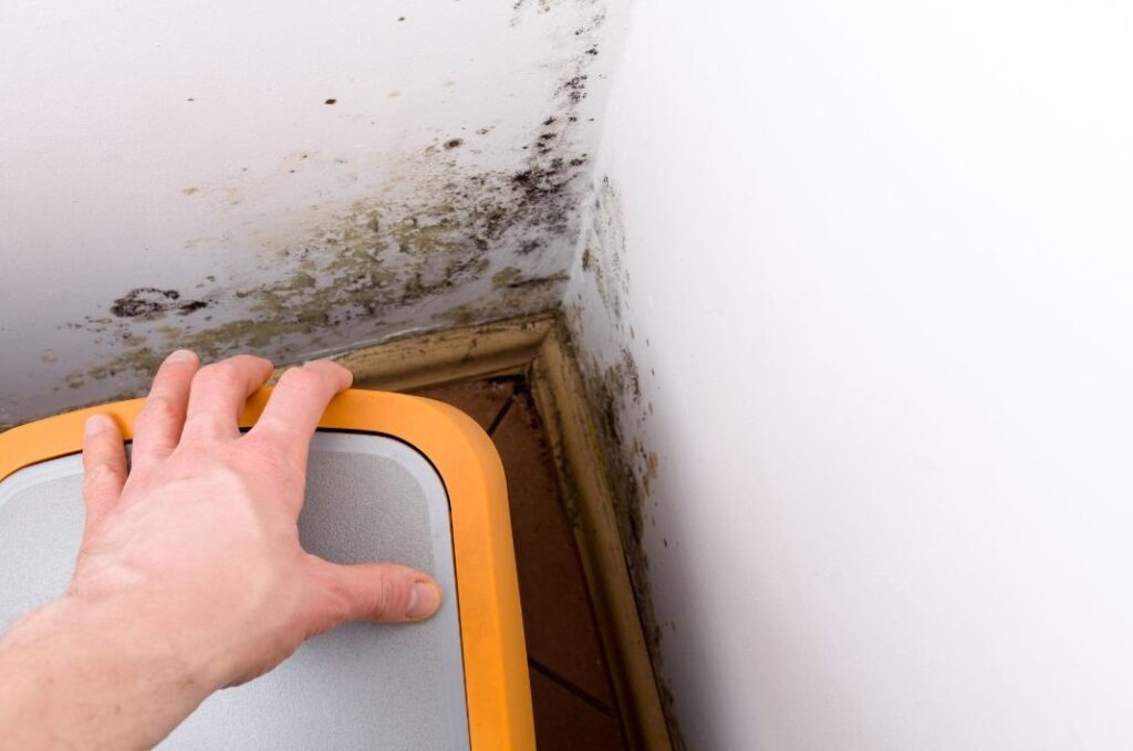 damp proofing in nottingham 1