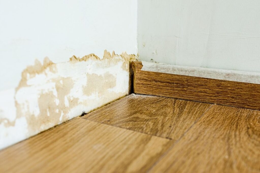 derby penetrating damp