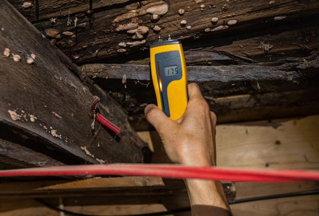 measuring damp derby