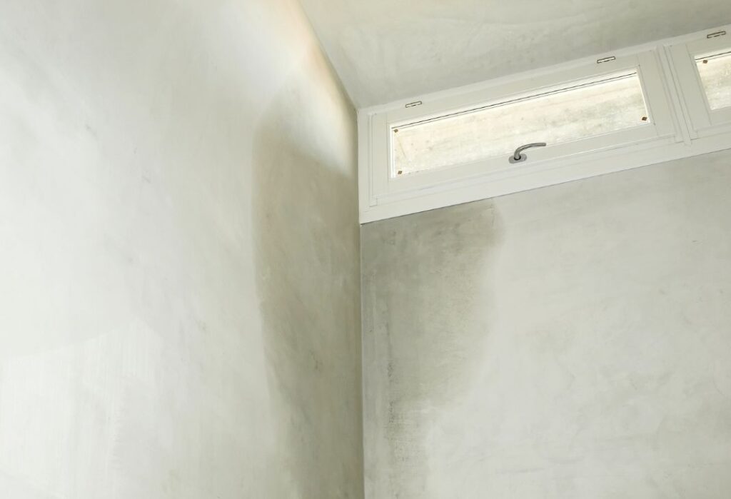 penetrating damp on wall