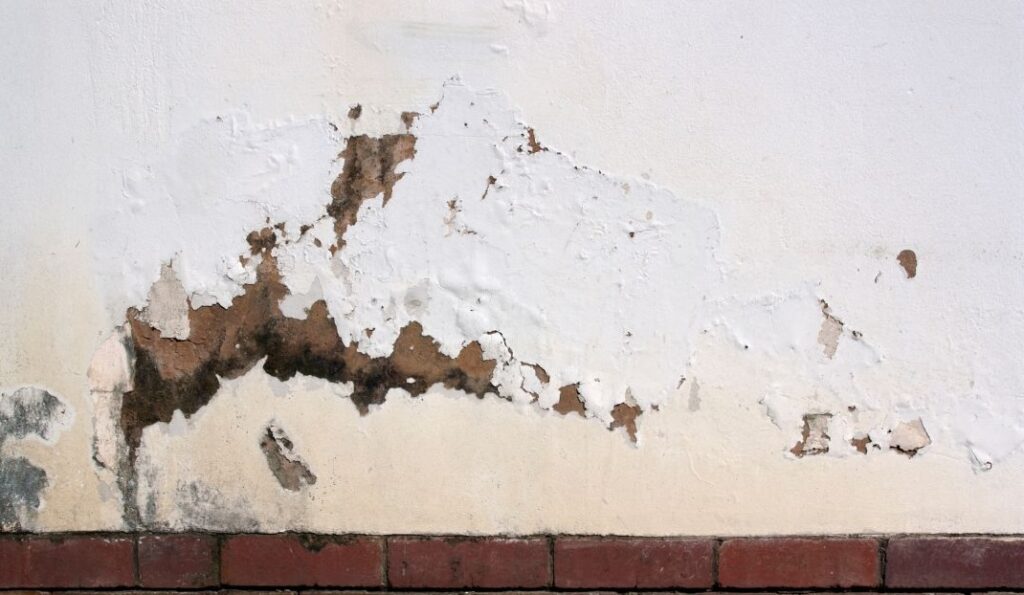 rising damp on wall