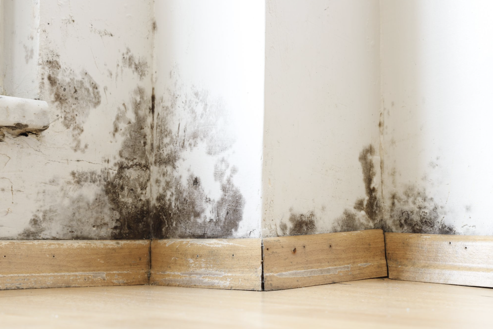 How to Identify Rising Damp