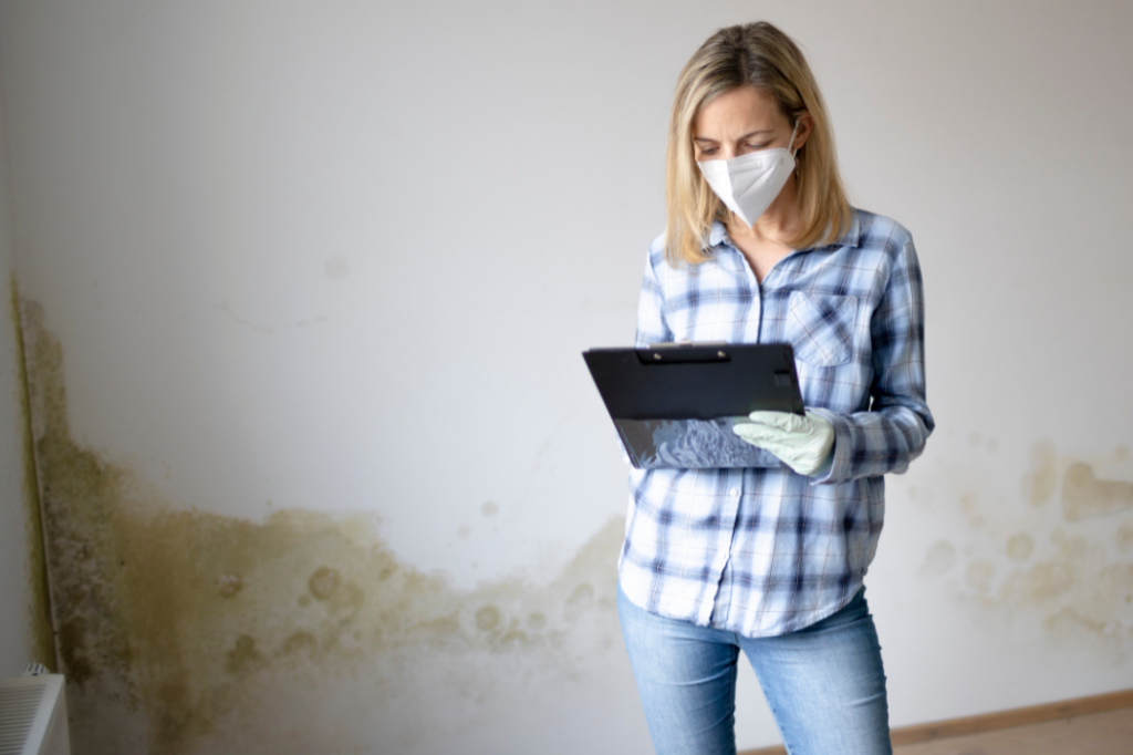 The Ultimate Guide to Diagnosing Damp