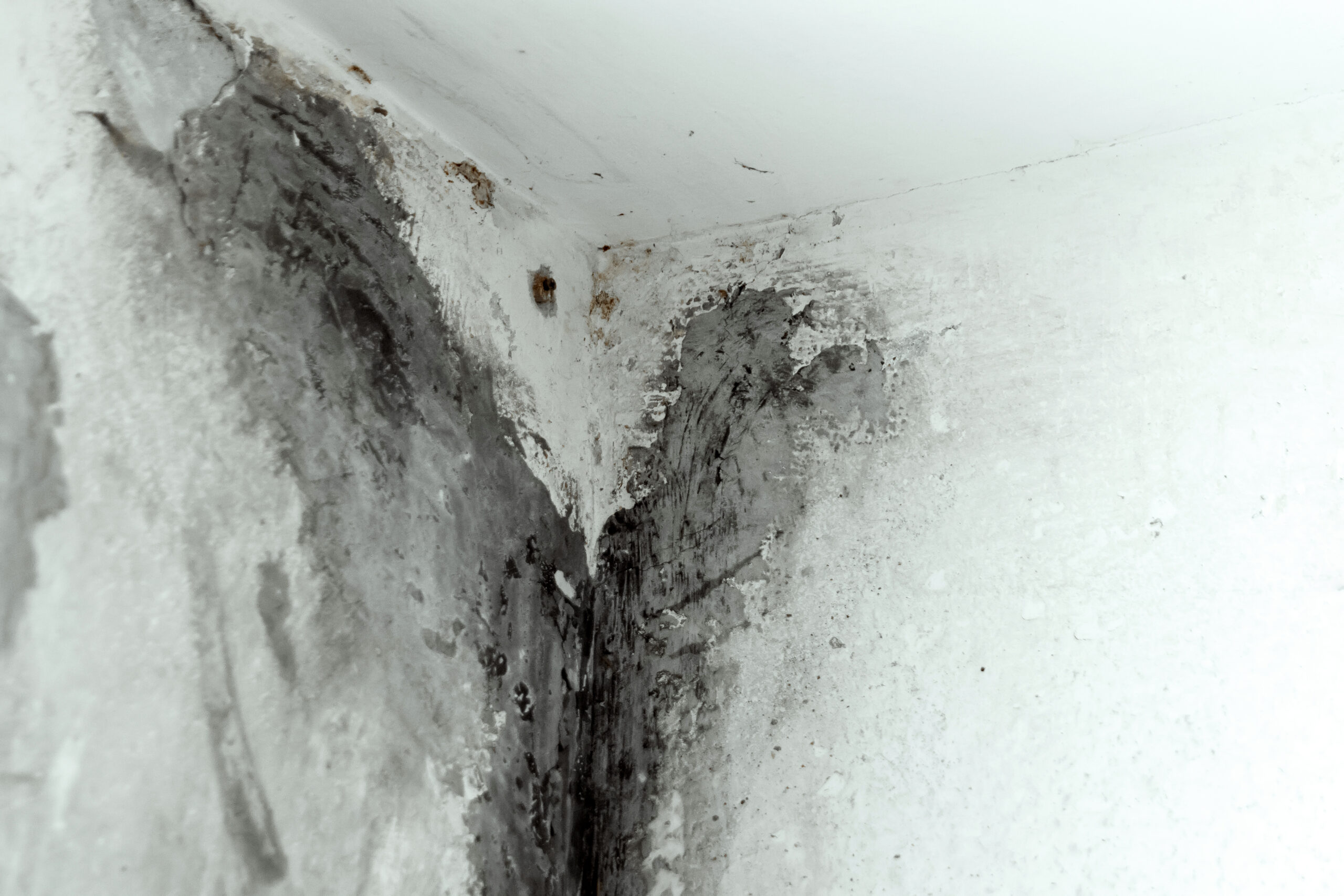 Why Rising Damp Is Common in Older Properties