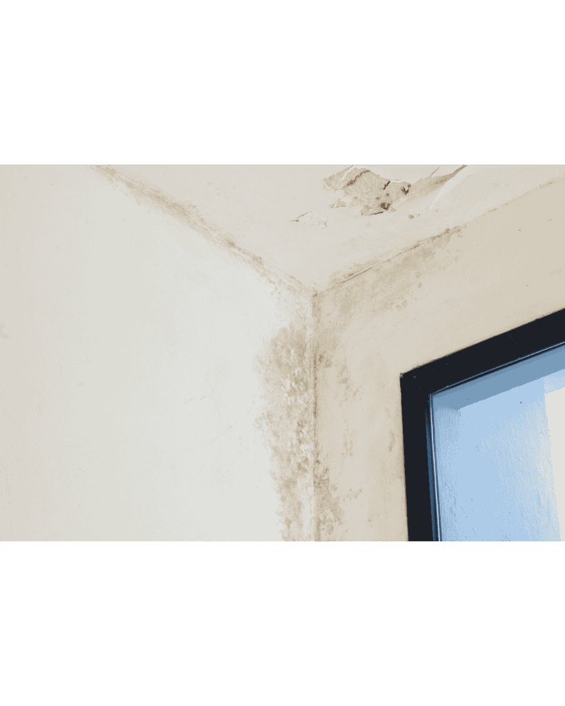 5 Ways Rising Damp in an Old House Can Be Treated