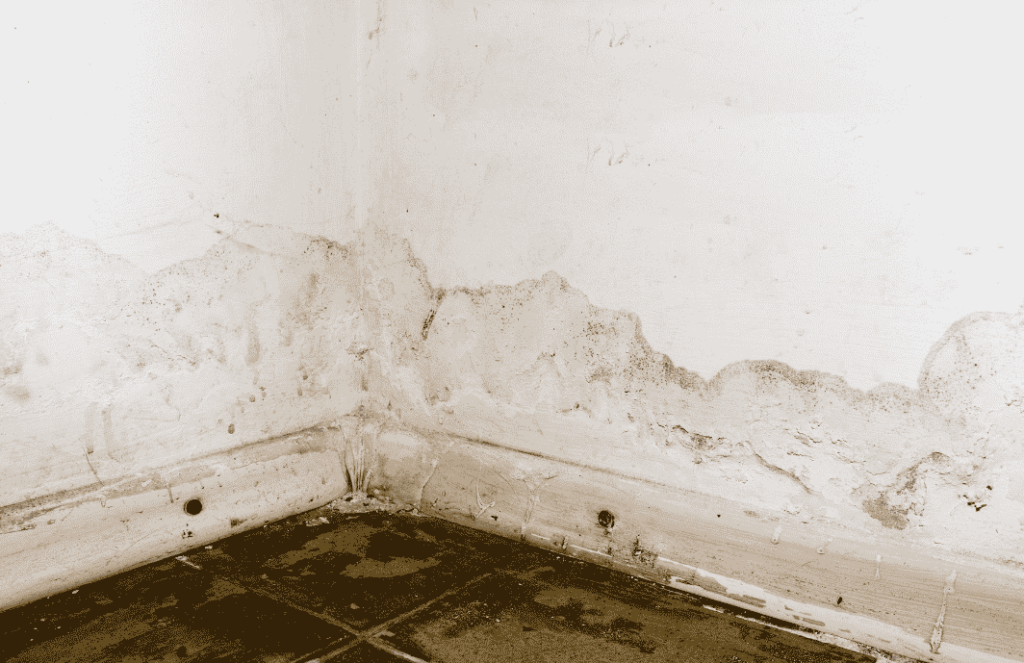damp damage