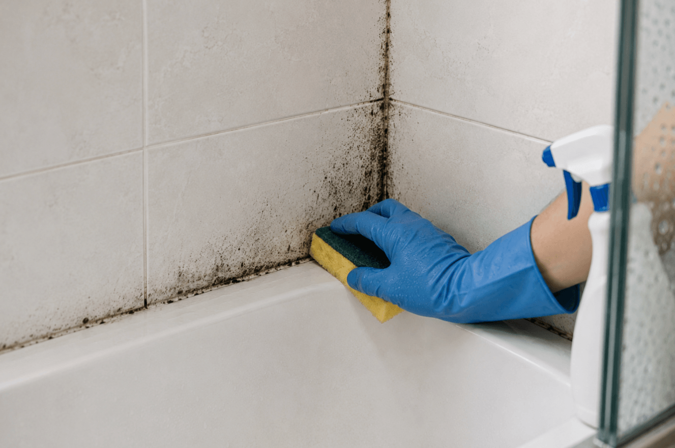 Black mould growing in the corner of a tiled shower enclosure around the bath before cleaning.